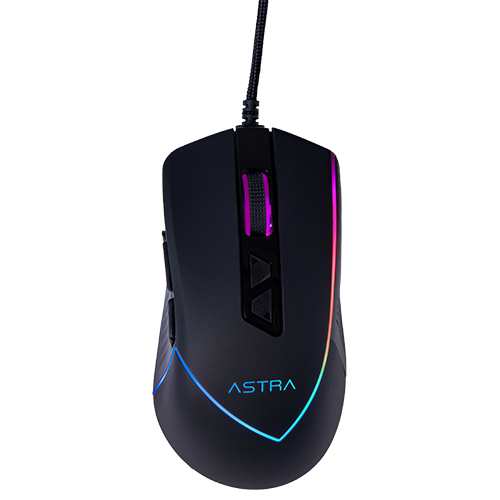 Mouse